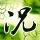 一比一原版圣家族大学学位证【degxx.com】